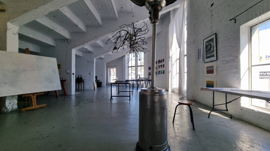 To Let commercial Property for Rent in Observatory Western Cape